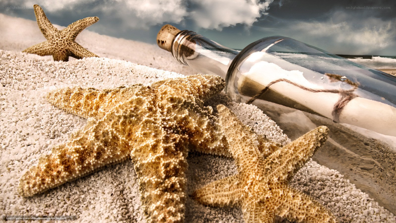 starfish and message in a bottle