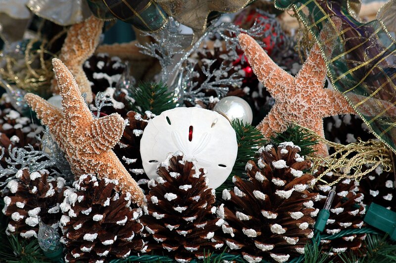 Starfish and Pinecones