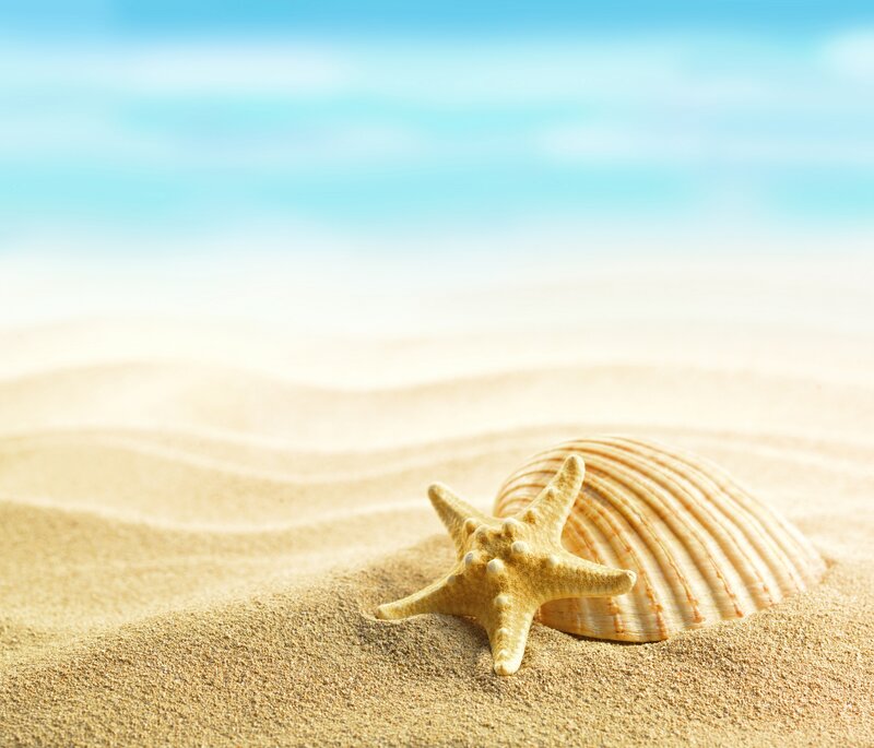 Starfish and Seashell — Beige, Serene