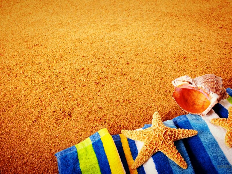 Starfish and Seashell — Blue, Relaxed