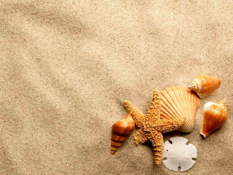 Starfish and Seashells — Beige, Calm