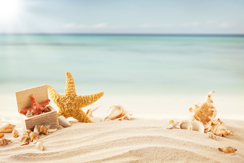 Starfish and Seashells — Beige, Serene, Afternoon, Photograph, Wooden Box
