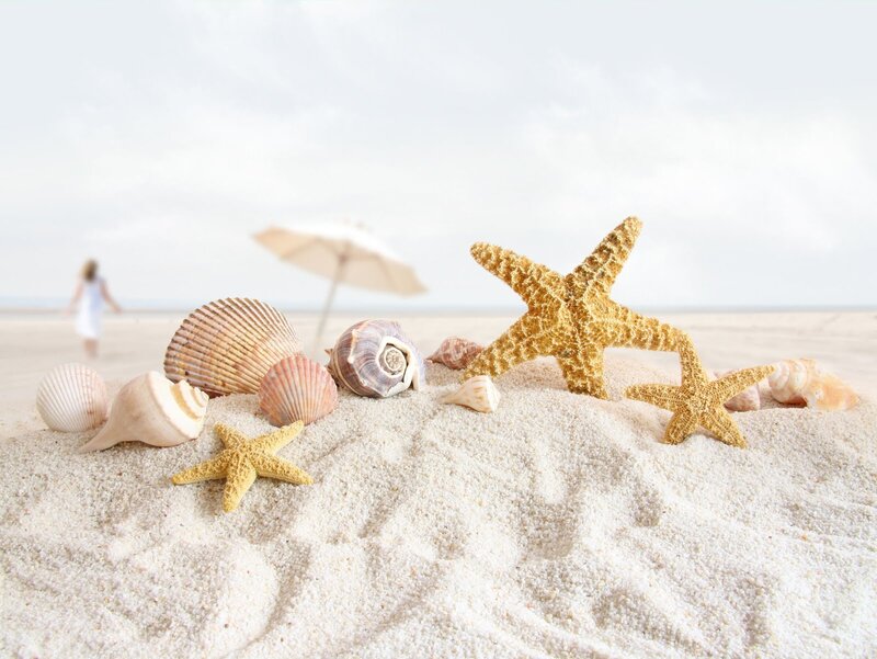 Starfish and Seashells — Beige, Serene, Afternoon