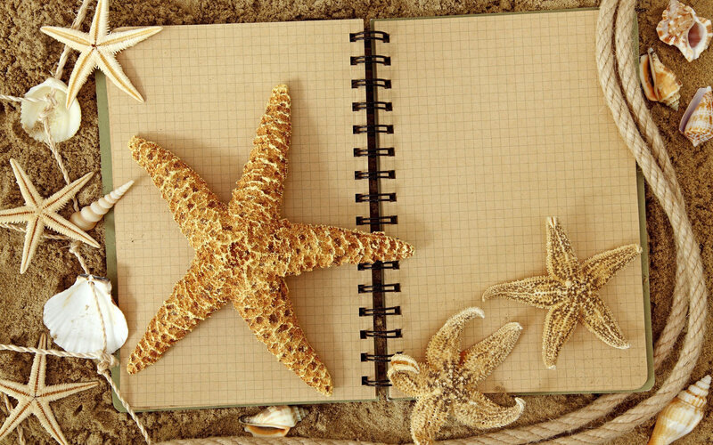 Starfish and Seashells — Beige, Serene, Photograph, Notebook
