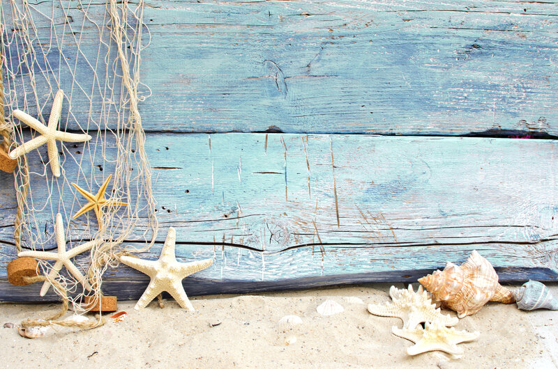 Starfish and Seashells — Blue, Calm, Photograph, Fishing Net