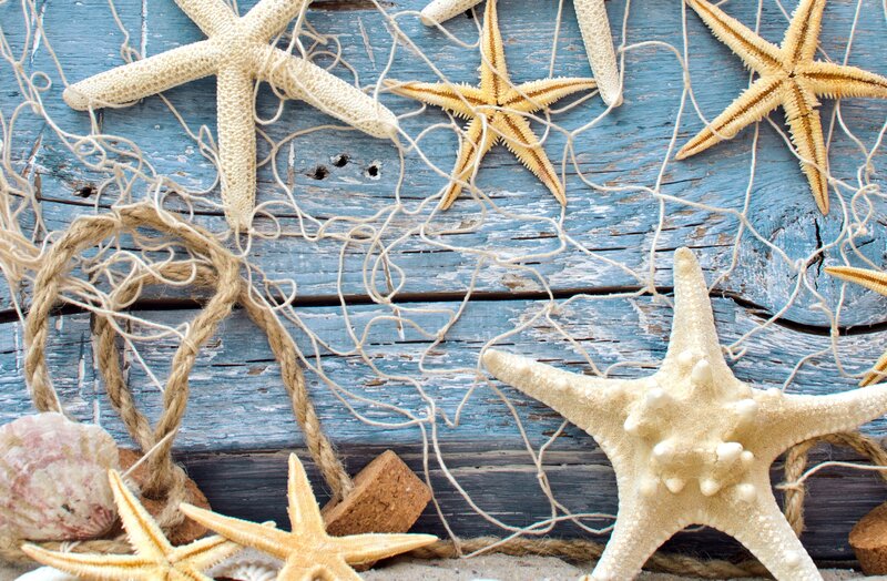 Starfish and Seashells — Blue, Calm, Photograph