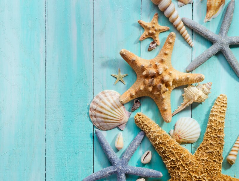 Starfish and Seashells — Blue, Calm, Photograph, Wooden Surface