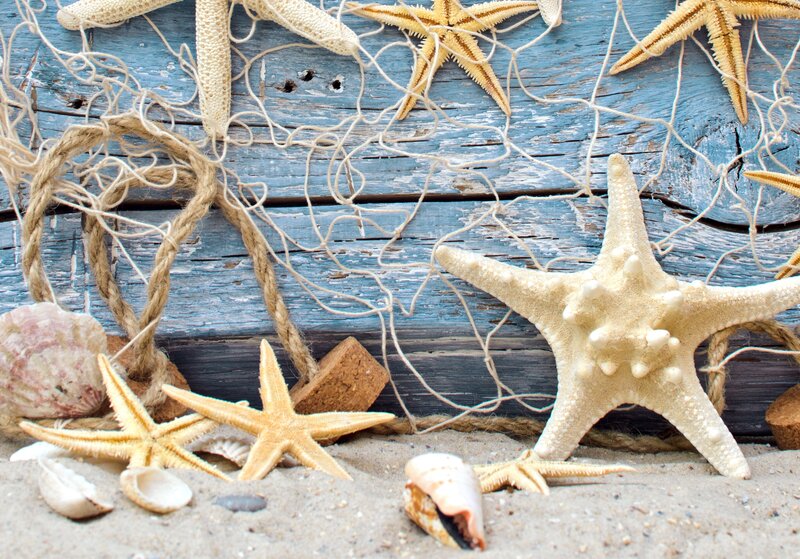 Starfish and Seashells — Blue, Calm