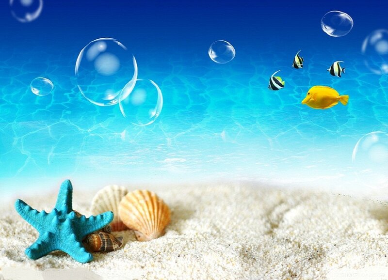 Starfish and Seashells — Blue, Serene