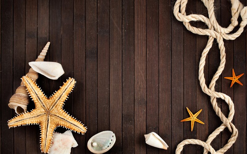 Starfish and Seashells — Brown, Calm, Photograph, Rope