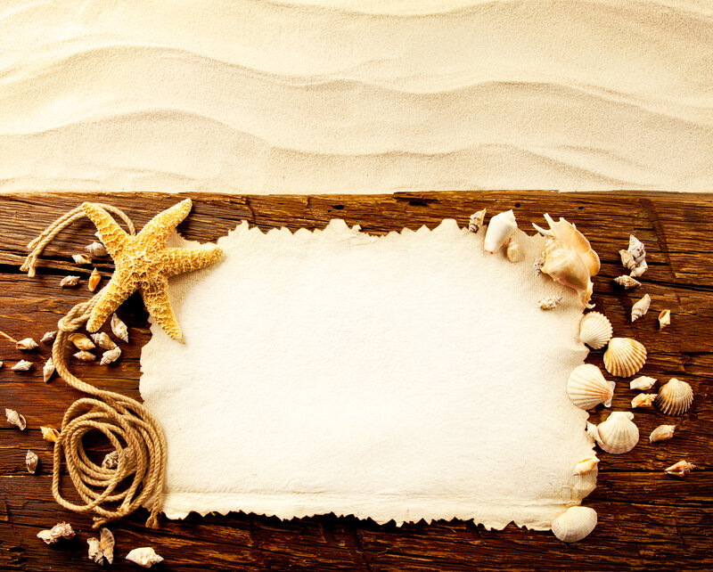 Starfish and Seashells — Brown, Serene, Photograph