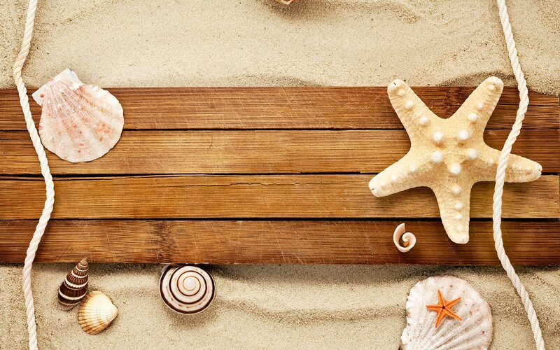 Starfish and Seashells — Brown