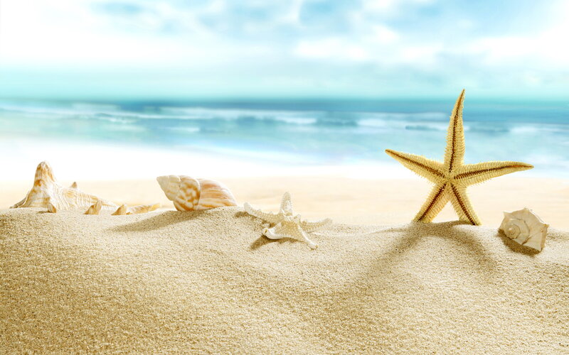 Starfish and Seashells on Beach — Beige
