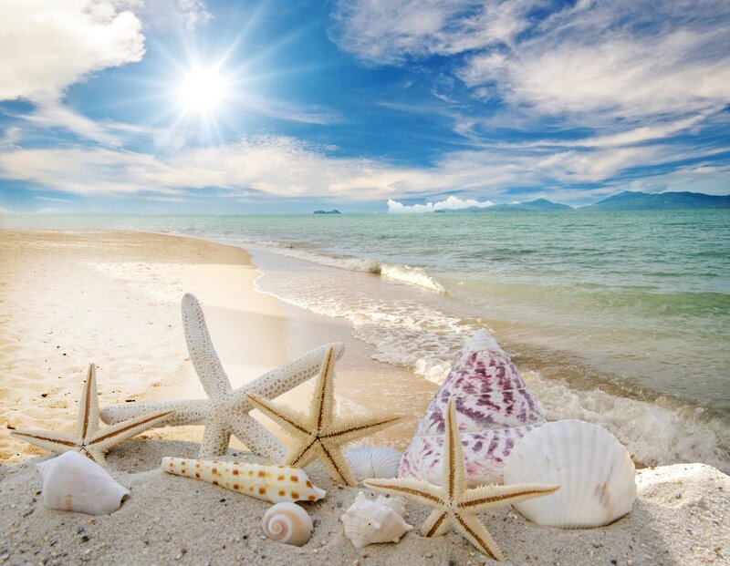 Starfish and Seashells on Beach — Blue