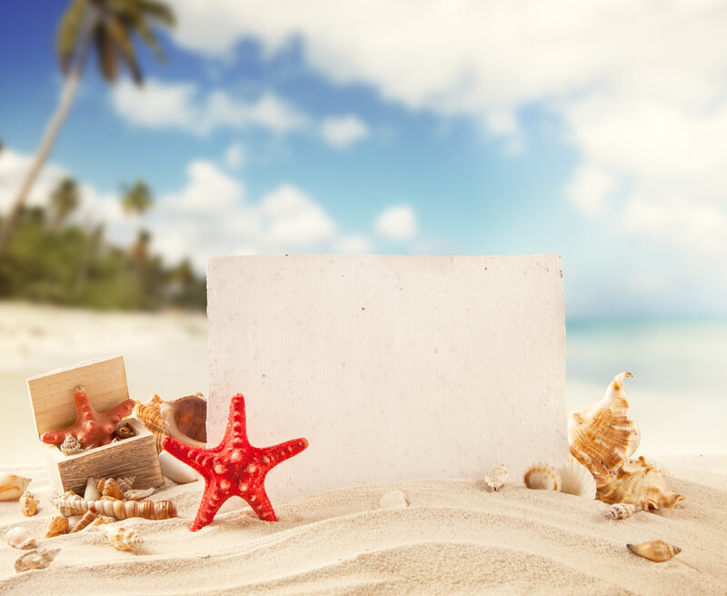 Starfish and Seashells — White, Serene, Afternoon