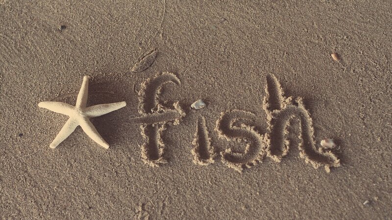 Starfish and Word Fish