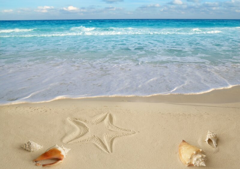 Starfish Drawing on Beach