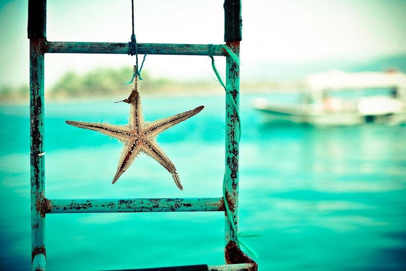Starfish Hanging on Ladder