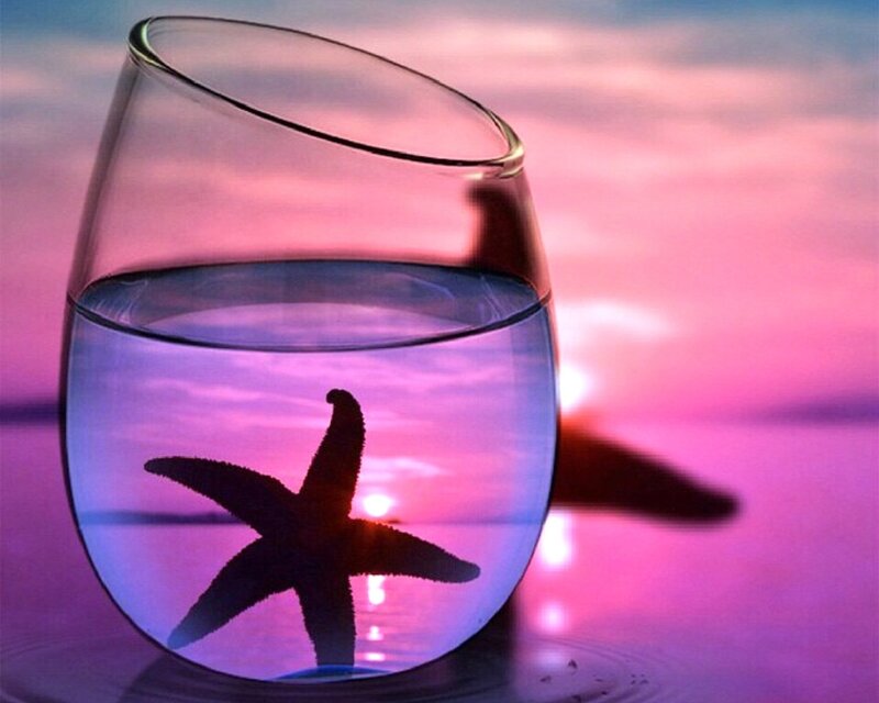 Starfish in Glass of Water — Pink