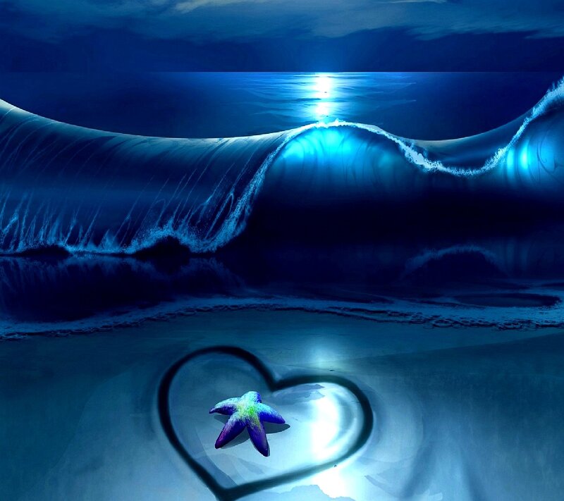 Starfish in Heart Shape