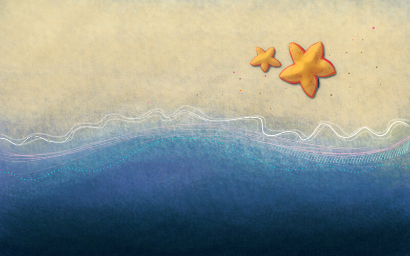 starfish on a beach