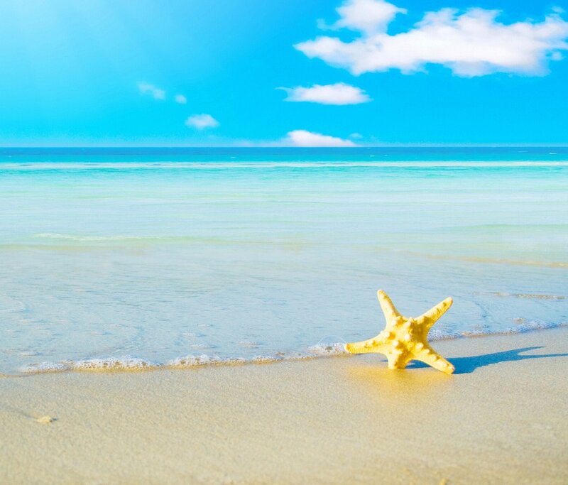 Starfish on a sunny beach