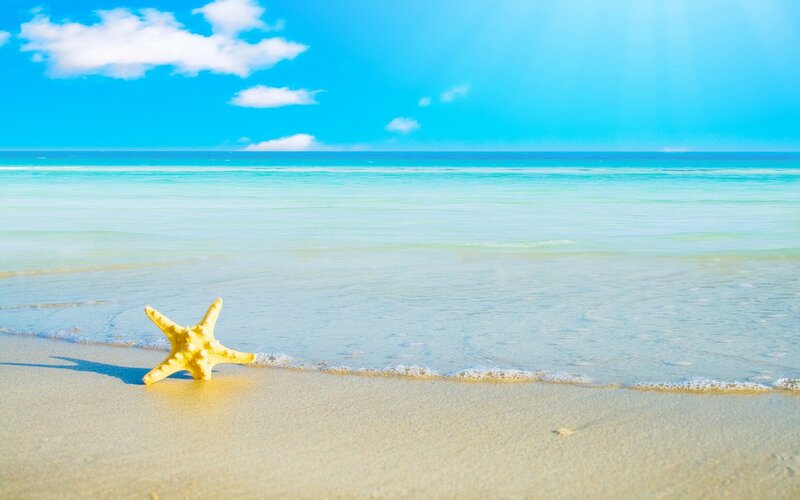 Starfish on a tropical beach