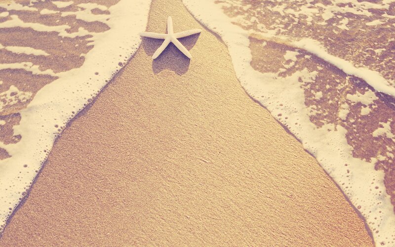 Starfish on Beach — Beige, Serene, Afternoon