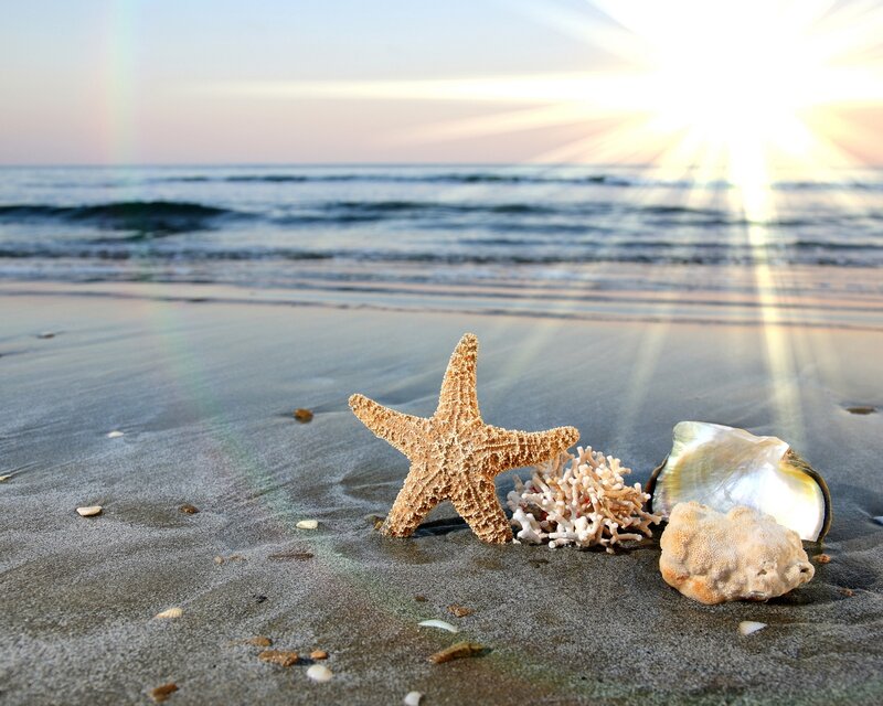Starfish on Beach — Beige, Serene, Sunset