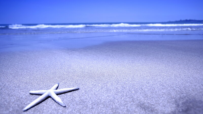 Starfish on Beach — Blue, Serene, Afternoon, Photograph, Sand, Ocean, Sky
