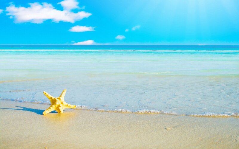 Starfish on Beach — Blue, Serene, Afternoon, Photograph, Sand, Ocean, Sky, Yellow, White