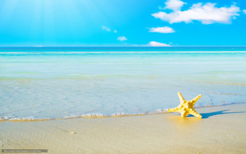 Starfish on Beach — Blue, Serene, Afternoon, Photograph, Sand, Ocean