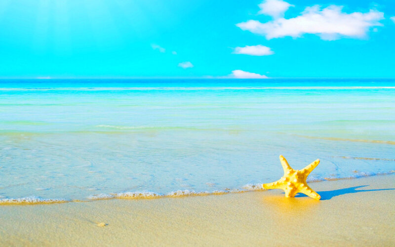 Starfish on Beach — Blue, Serene, Afternoon, Photograph