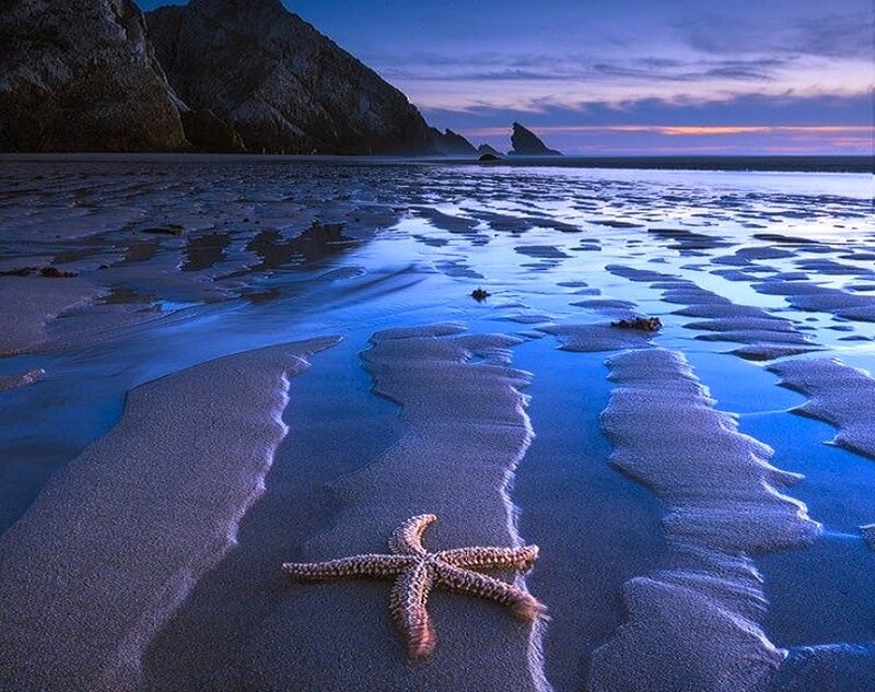 Starfish on Beach — Blue, Serene, Sunset