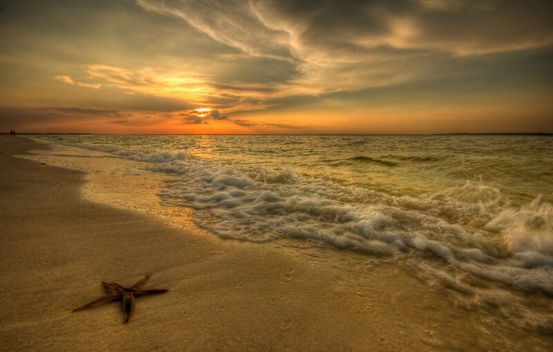 Starfish on Beach — Gold