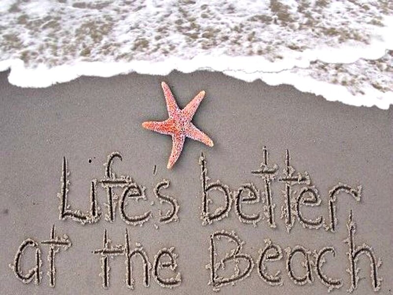 Starfish on Beach — Gray