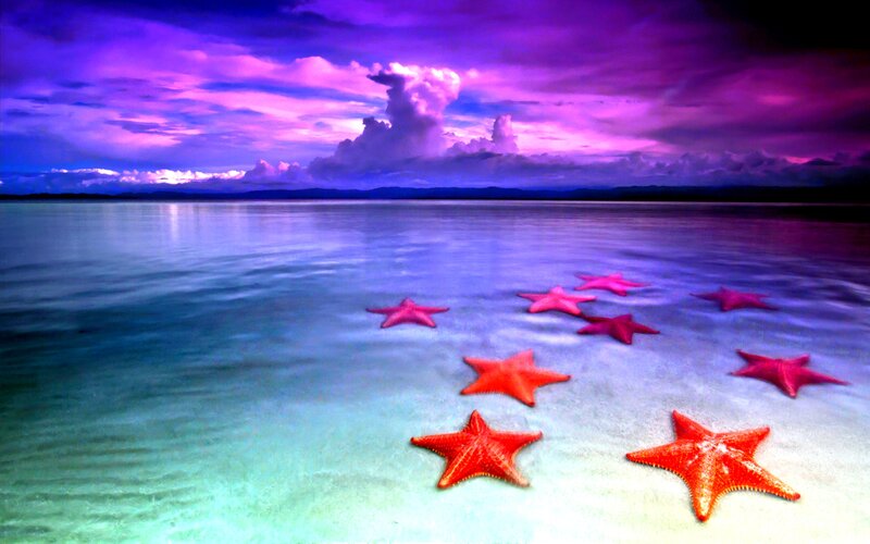 Starfish on Beach — Purple, Dramatic