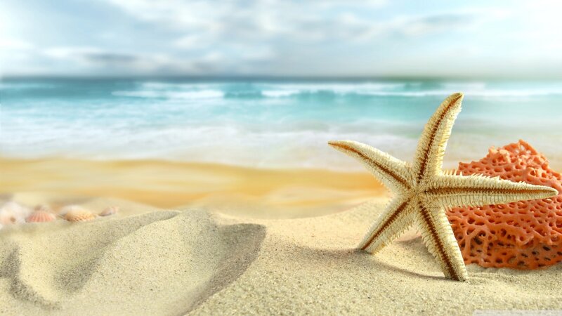 Starfish on Beach Sand — Beige
