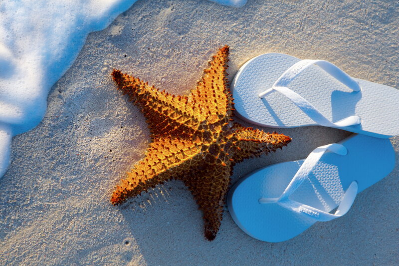 Starfish on Beach Sand — Orange