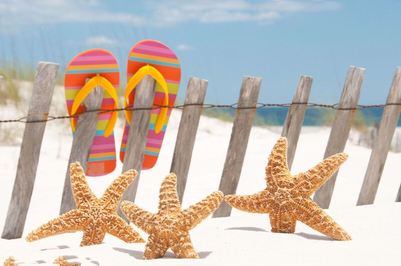 Starfish on Beach — White, Relaxed