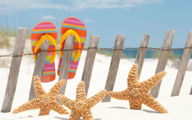 Starfish on Beach — White