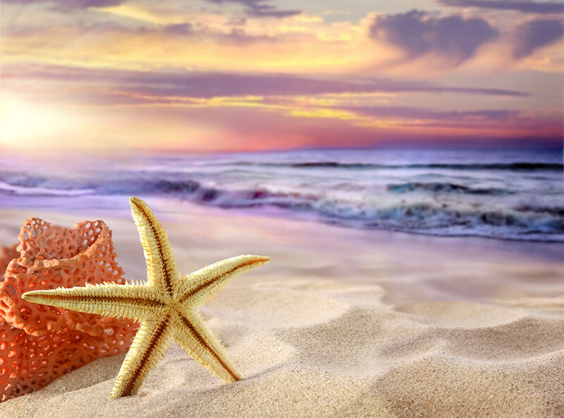 Starfish on Beach — Yellow