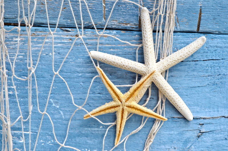 Starfish on Fishing Net — Blue, Calm