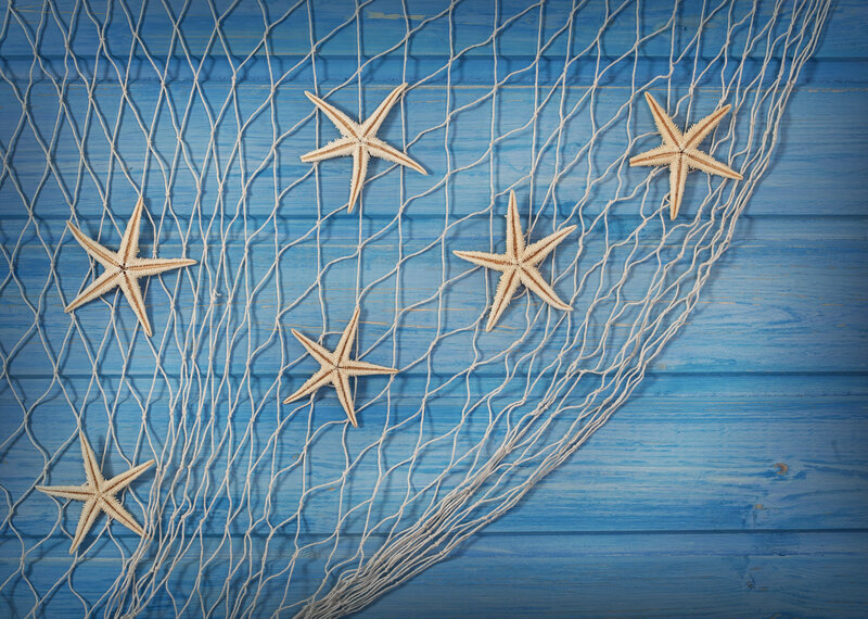 Starfish on Fishing Net — Blue