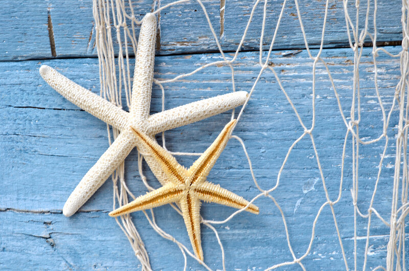 Starfish on Net