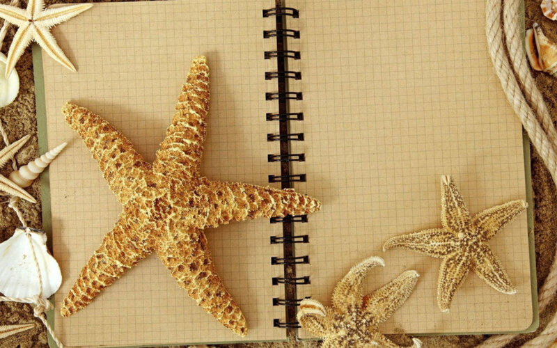 Starfish on Notebook — Beige, Calm
