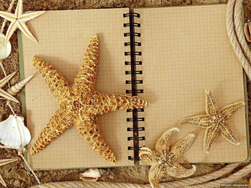 Starfish on Notebook