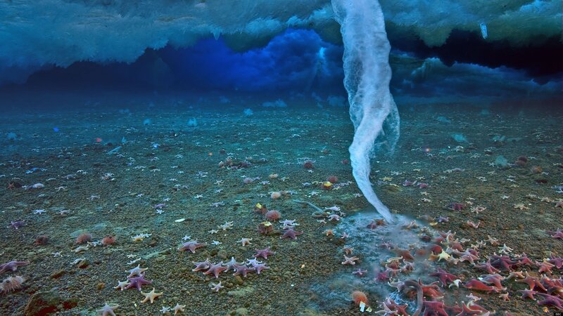 Starfish on Ocean Floor — Blue, Dramatic
