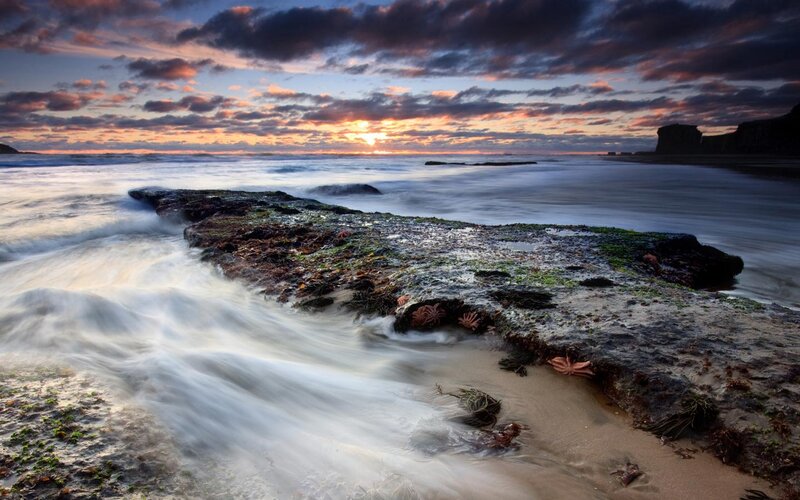 Starfish on Rocky Shore — Blue, Dramatic