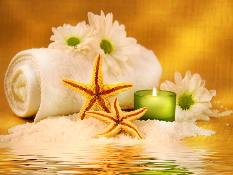 Starfish on Salt